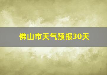 佛山市天气预报30天