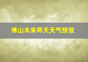 佛山未来两天天气预报