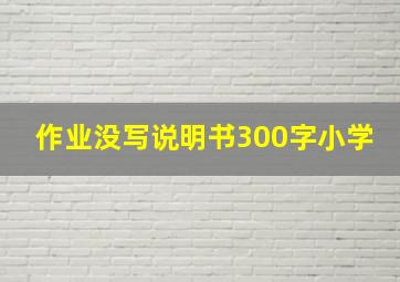 作业没写说明书300字小学