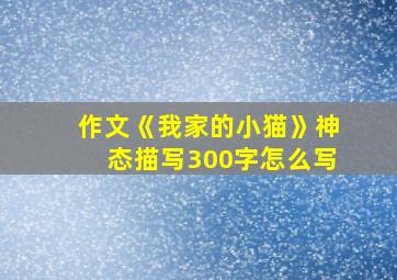 作文《我家的小猫》神态描写300字怎么写