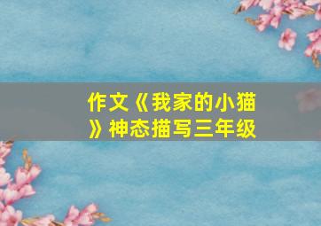 作文《我家的小猫》神态描写三年级