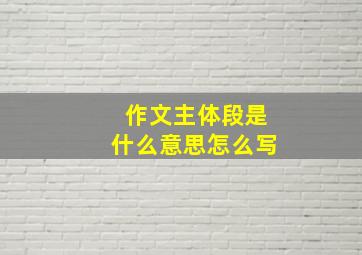 作文主体段是什么意思怎么写