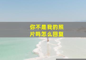 你不是我的照片吗怎么回复