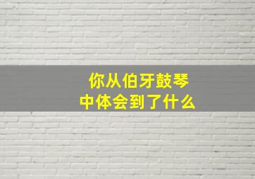 你从伯牙鼓琴中体会到了什么