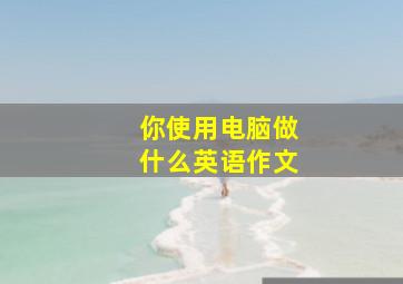 你使用电脑做什么英语作文