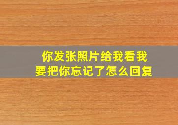 你发张照片给我看我要把你忘记了怎么回复