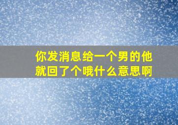 你发消息给一个男的他就回了个哦什么意思啊