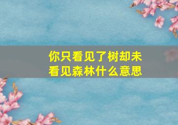 你只看见了树却未看见森林什么意思