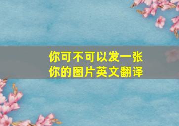 你可不可以发一张你的图片英文翻译