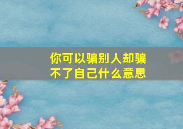 你可以骗别人却骗不了自己什么意思