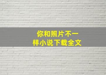 你和照片不一样小说下载全文