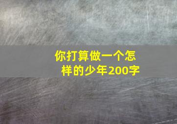 你打算做一个怎样的少年200字