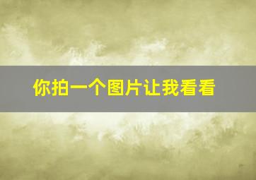 你拍一个图片让我看看