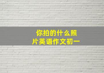 你拍的什么照片英语作文初一