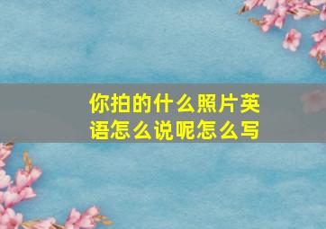 你拍的什么照片英语怎么说呢怎么写