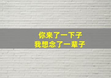 你来了一下子我想念了一辈子