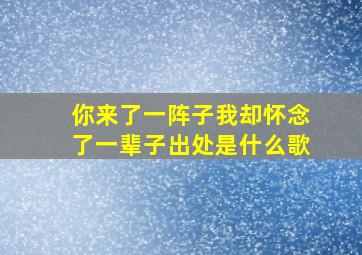 你来了一阵子我却怀念了一辈子出处是什么歌