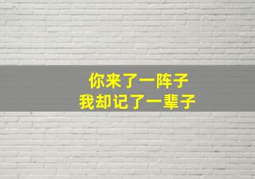 你来了一阵子我却记了一辈子