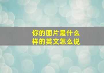 你的图片是什么样的英文怎么说