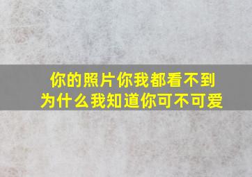 你的照片你我都看不到为什么我知道你可不可爱