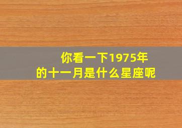 你看一下1975年的十一月是什么星座呢