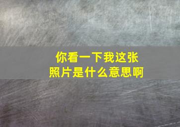 你看一下我这张照片是什么意思啊