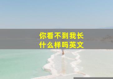 你看不到我长什么样吗英文