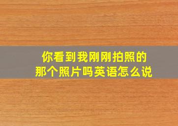 你看到我刚刚拍照的那个照片吗英语怎么说