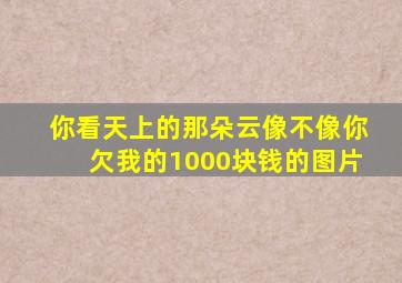 你看天上的那朵云像不像你欠我的1000块钱的图片