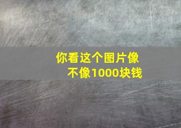 你看这个图片像不像1000块钱