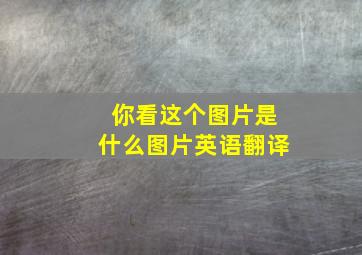 你看这个图片是什么图片英语翻译