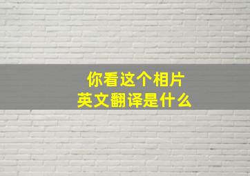 你看这个相片英文翻译是什么