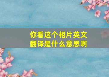 你看这个相片英文翻译是什么意思啊