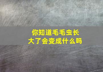 你知道毛毛虫长大了会变成什么吗