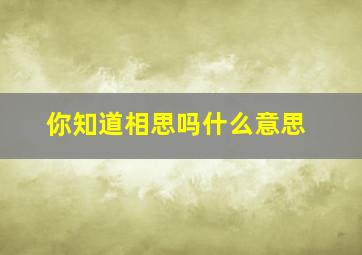 你知道相思吗什么意思