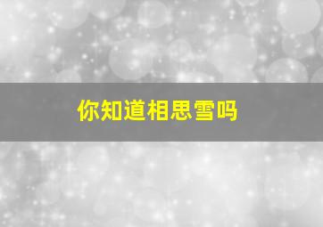 你知道相思雪吗