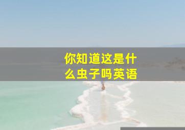 你知道这是什么虫子吗英语