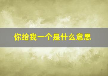 你给我一个是什么意思