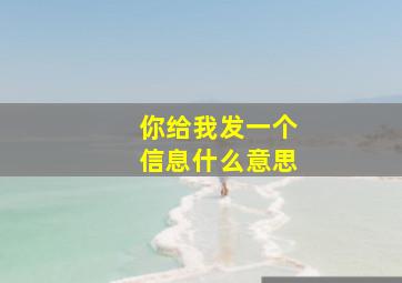 你给我发一个信息什么意思