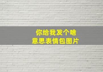 你给我发个啥意思表情包图片