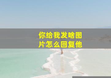 你给我发啥图片怎么回复他