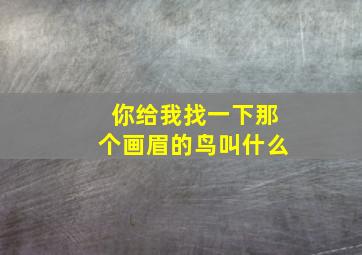 你给我找一下那个画眉的鸟叫什么