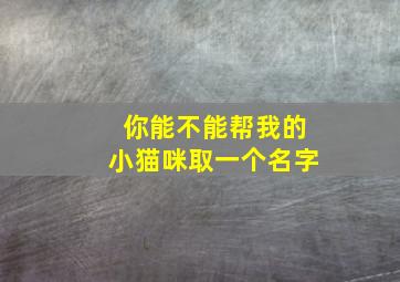 你能不能帮我的小猫咪取一个名字