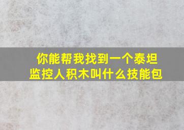 你能帮我找到一个泰坦监控人积木叫什么技能包