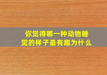 你觉得哪一种动物睡觉的样子最有趣为什么