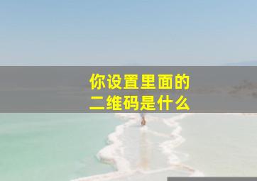 你设置里面的二维码是什么