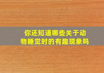 你还知道哪些关于动物睡觉时的有趣现象吗