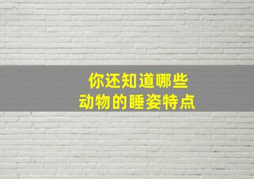 你还知道哪些动物的睡姿特点