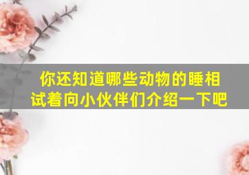 你还知道哪些动物的睡相试着向小伙伴们介绍一下吧