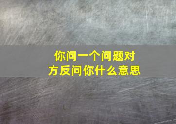 你问一个问题对方反问你什么意思